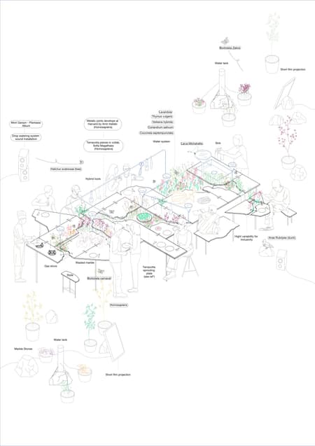 Live Kitchen — Francisca Sotto & Jeremy Morris